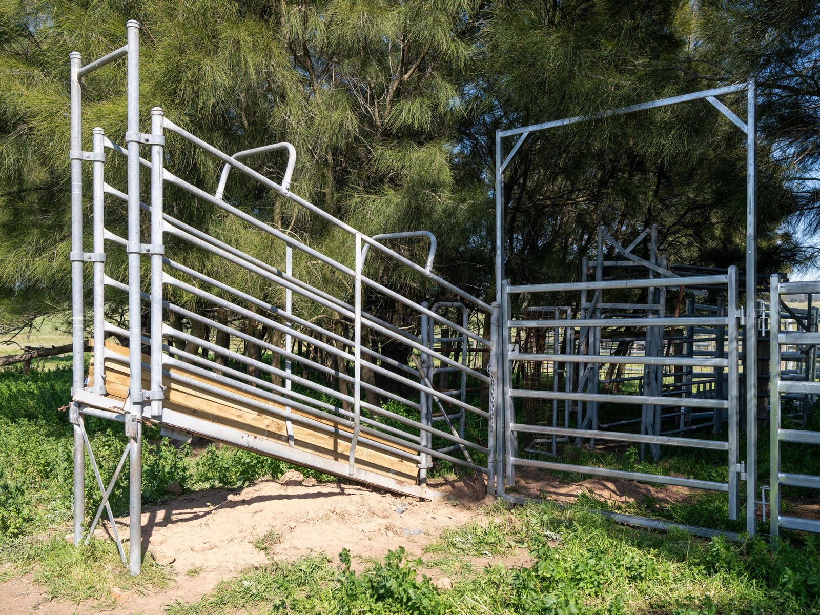 Business For Sale: Young, NSW 2594