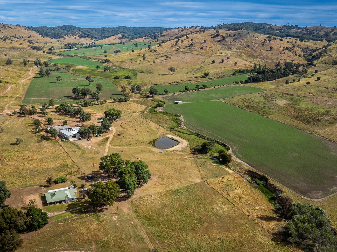 Farm For Sale in Taylors Flat, NSW 2586 473 Eldriges Lane