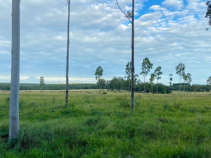 Farm For Sale in Kingaroy, Qld 4610 225 Beils Road