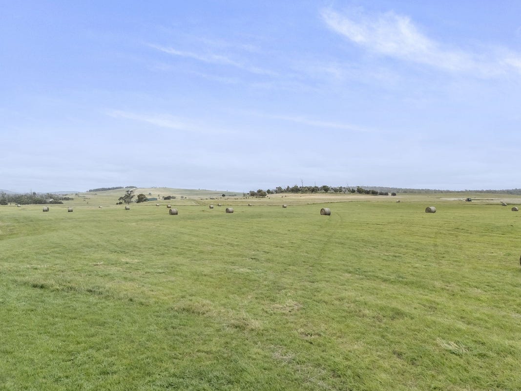 Business For Sale: North Scottsdale, Tas 7260