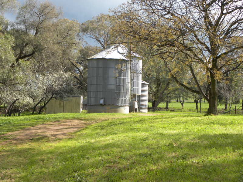 Farm For Sale in Cowra, NSW 2794 Myuna Binni Creek Road