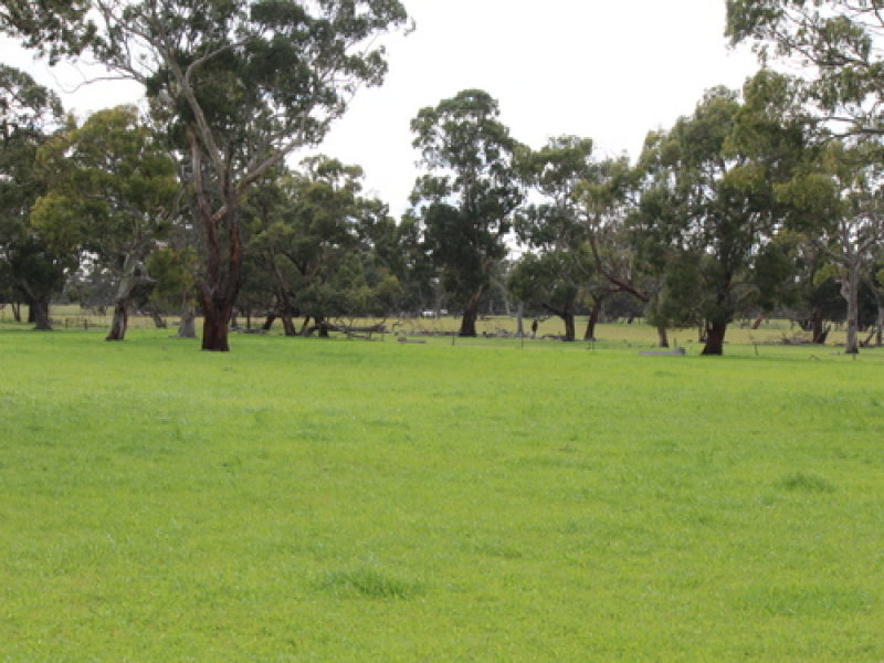 Business For Sale: Keith, SA 5267