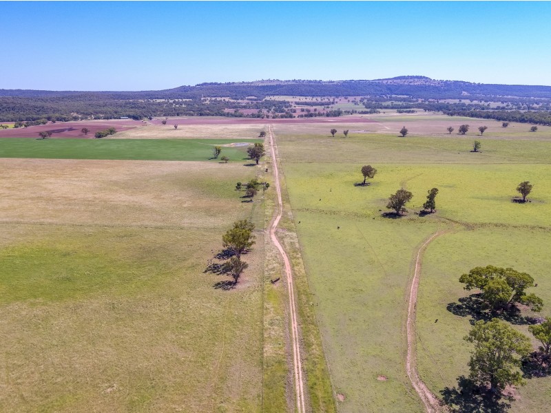Business For Sale: Neilrex, NSW 2831