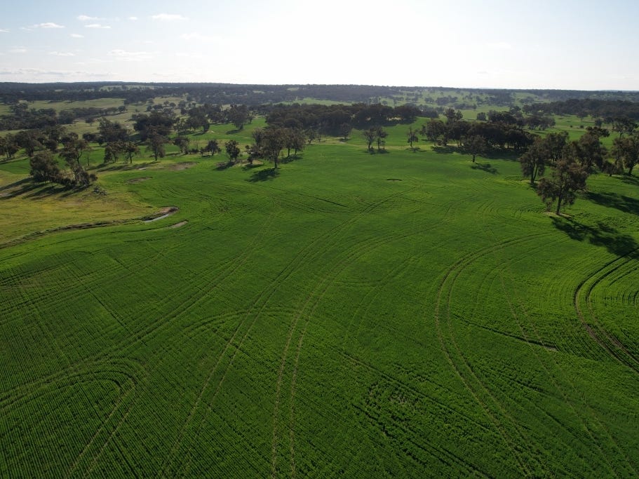 Farm For Sale in York, WA 6302 Lot 15221 Helena Road