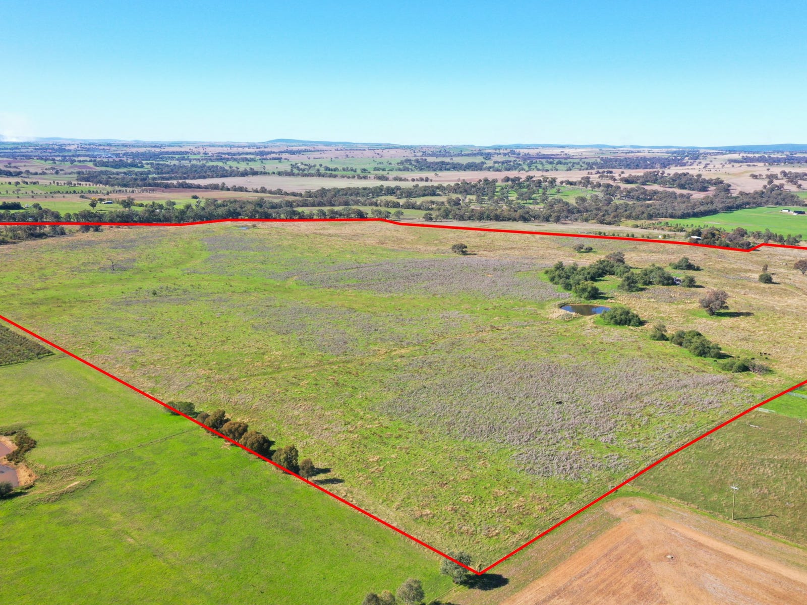 Farm For Sale in Young, NSW 2594 135 Bribbaree Road