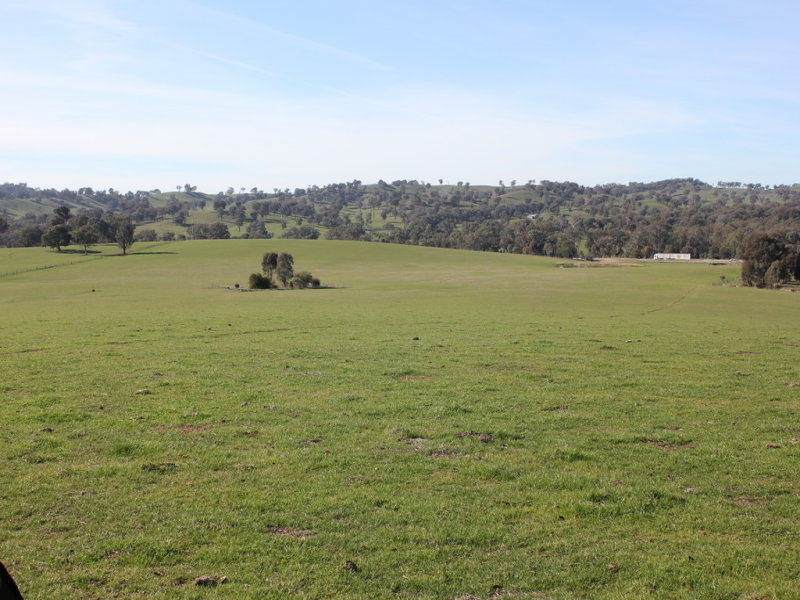 Farm For Sale in Tarcutta, NSW 2652 Kanimbla Hume Hwy