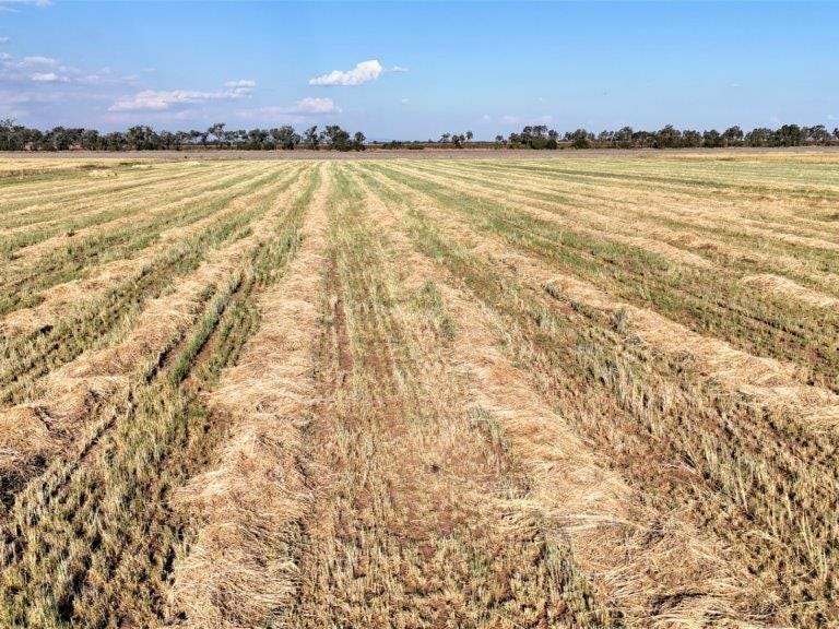 Farm For Sale in Jandowae, Qld 4410 Kingaroy Jandowae Road