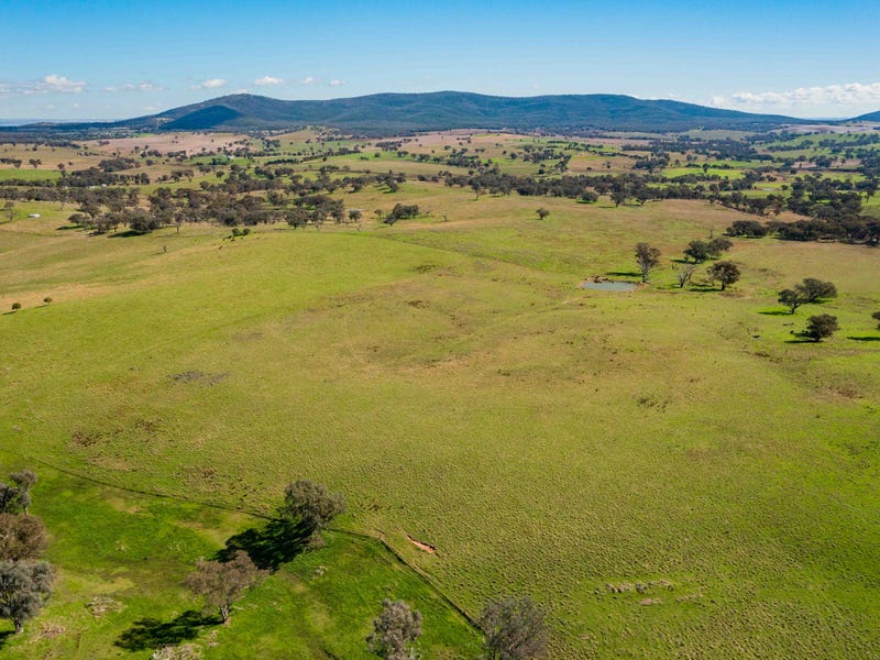 Farm For Sale in Cootamundra, NSW 2590