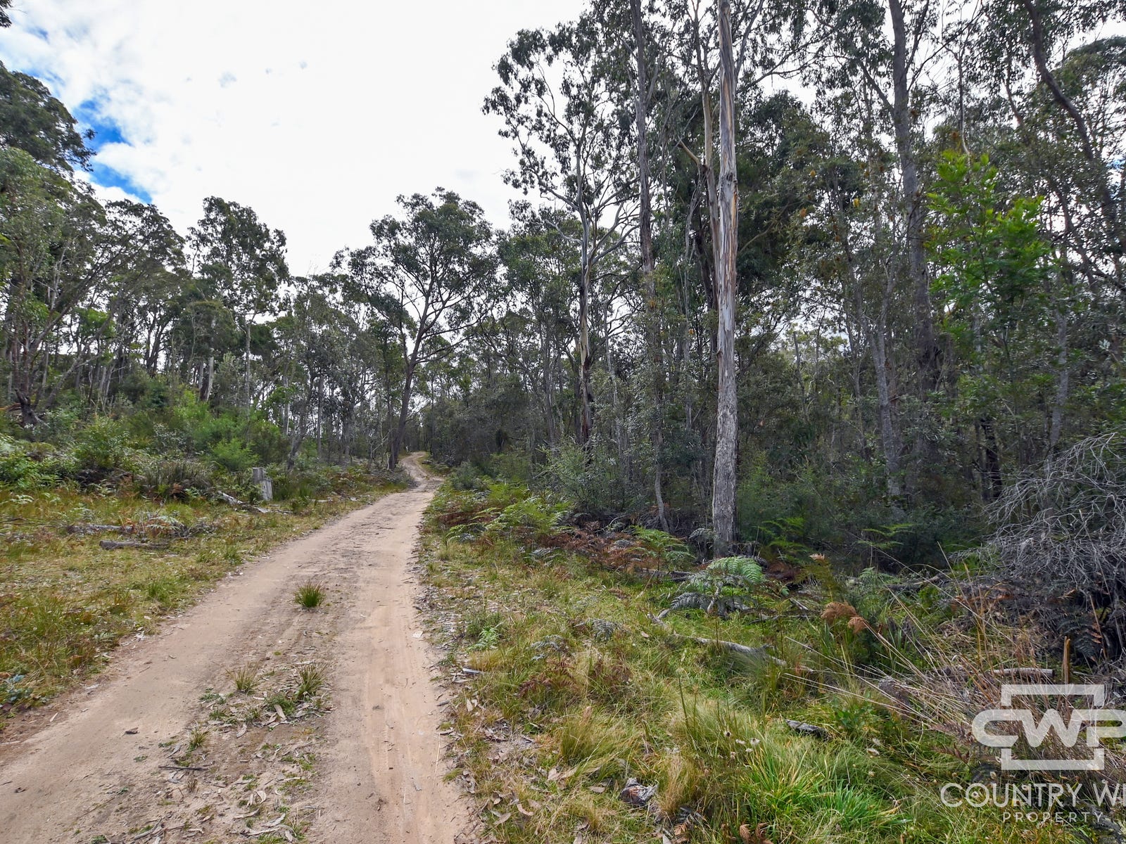 Business For Sale: Mount Mitchell, NSW 2365