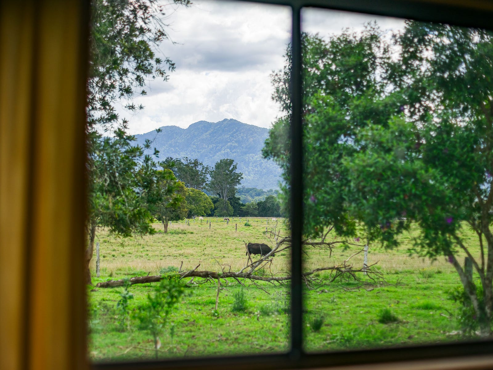 Business For Sale: Bellingen, NSW 2454