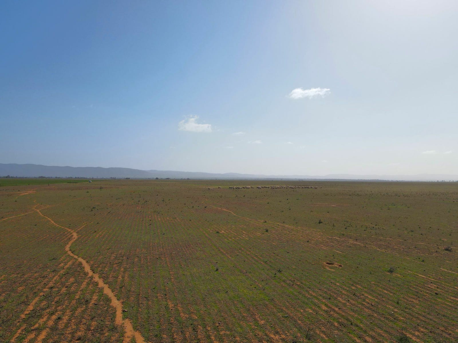 Business For Sale: Willowie, SA 5431