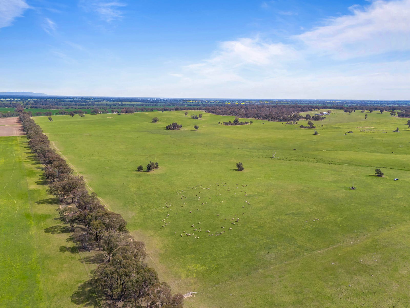 Business For Sale: Campbells Bridge, Vic 3387