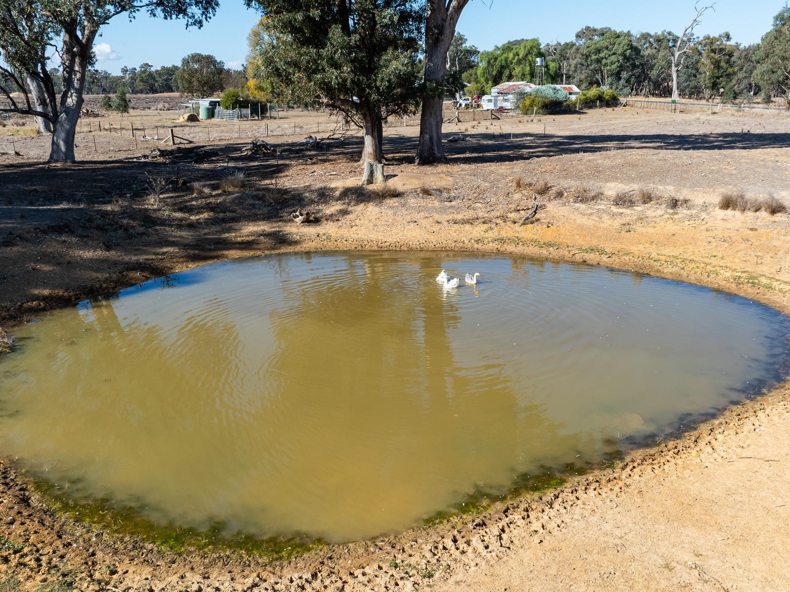 Business For Sale: Cornishtown, Vic 3683