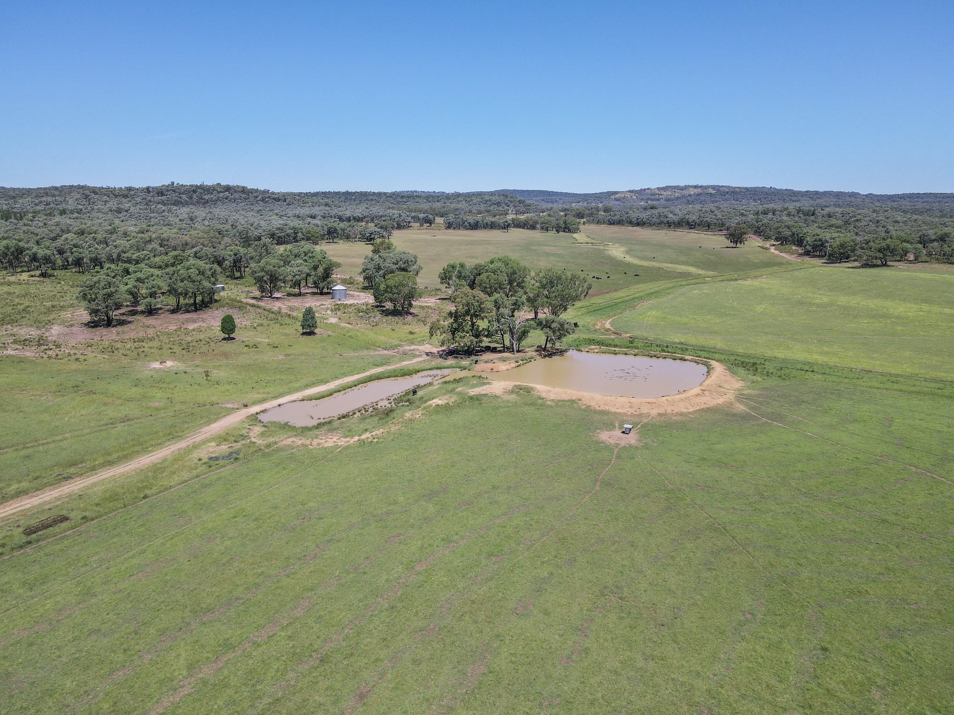 Business For Sale: Neilrex, NSW 2831