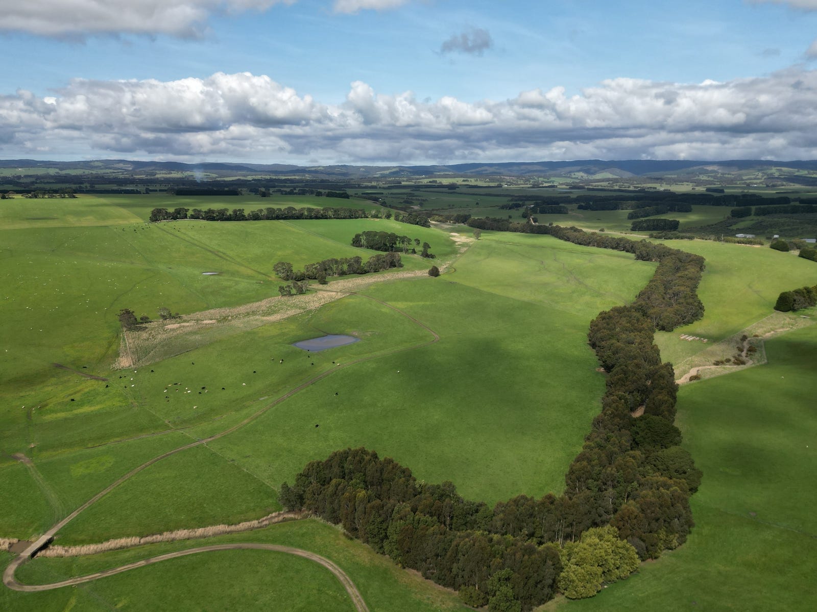 Farm For Sale in Birregurra, Vic 3242 463 Birregurraforrest Road