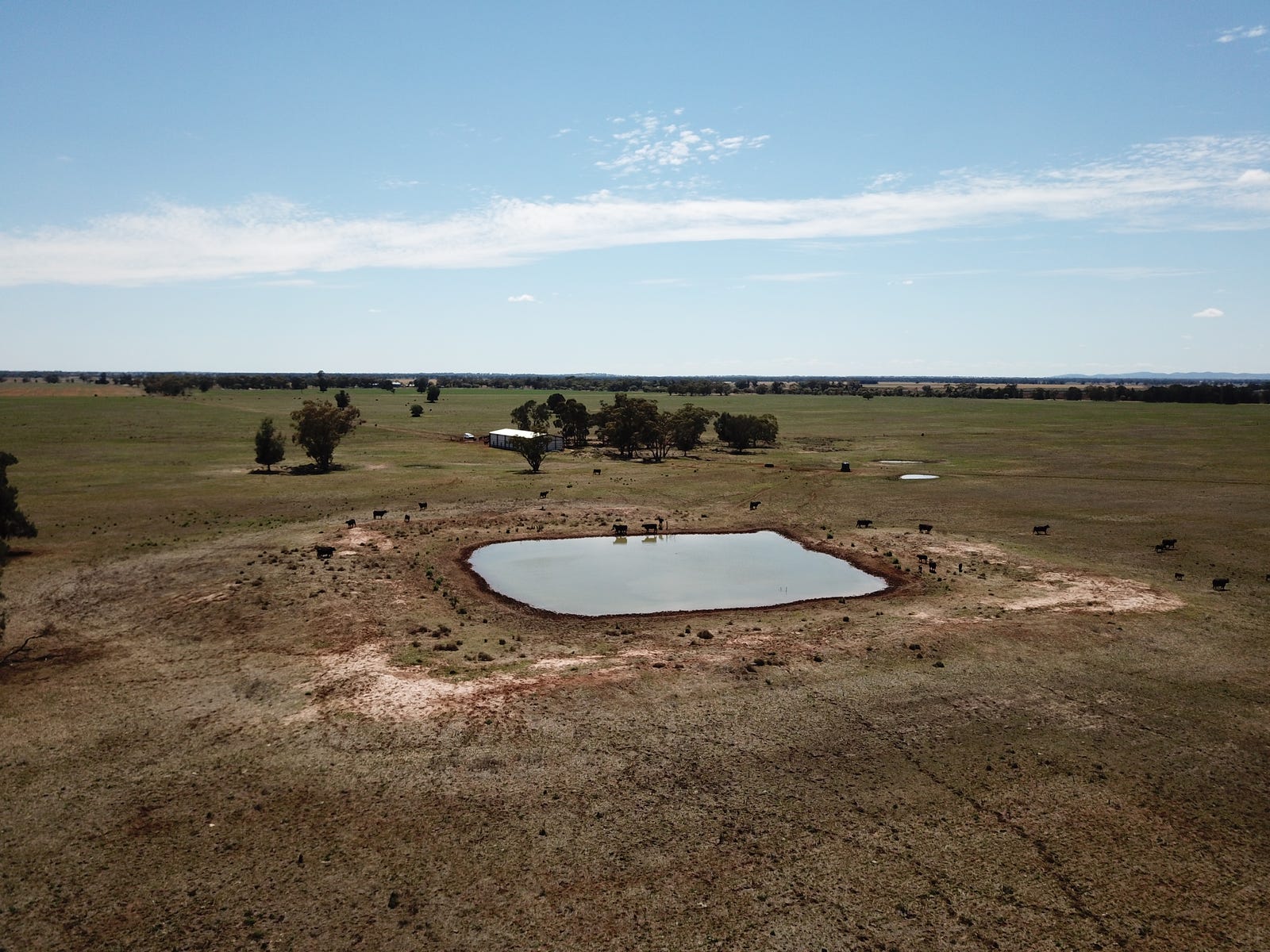 Business For Sale: Narromine, NSW 2821