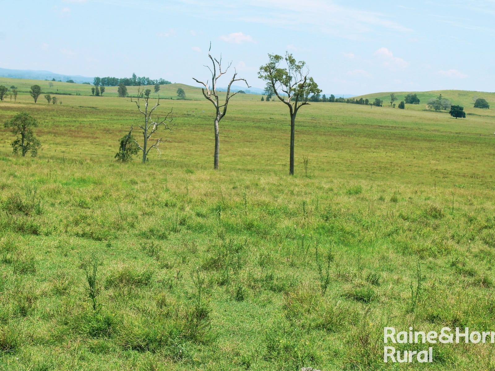 Business For Sale: Casino, NSW 2470