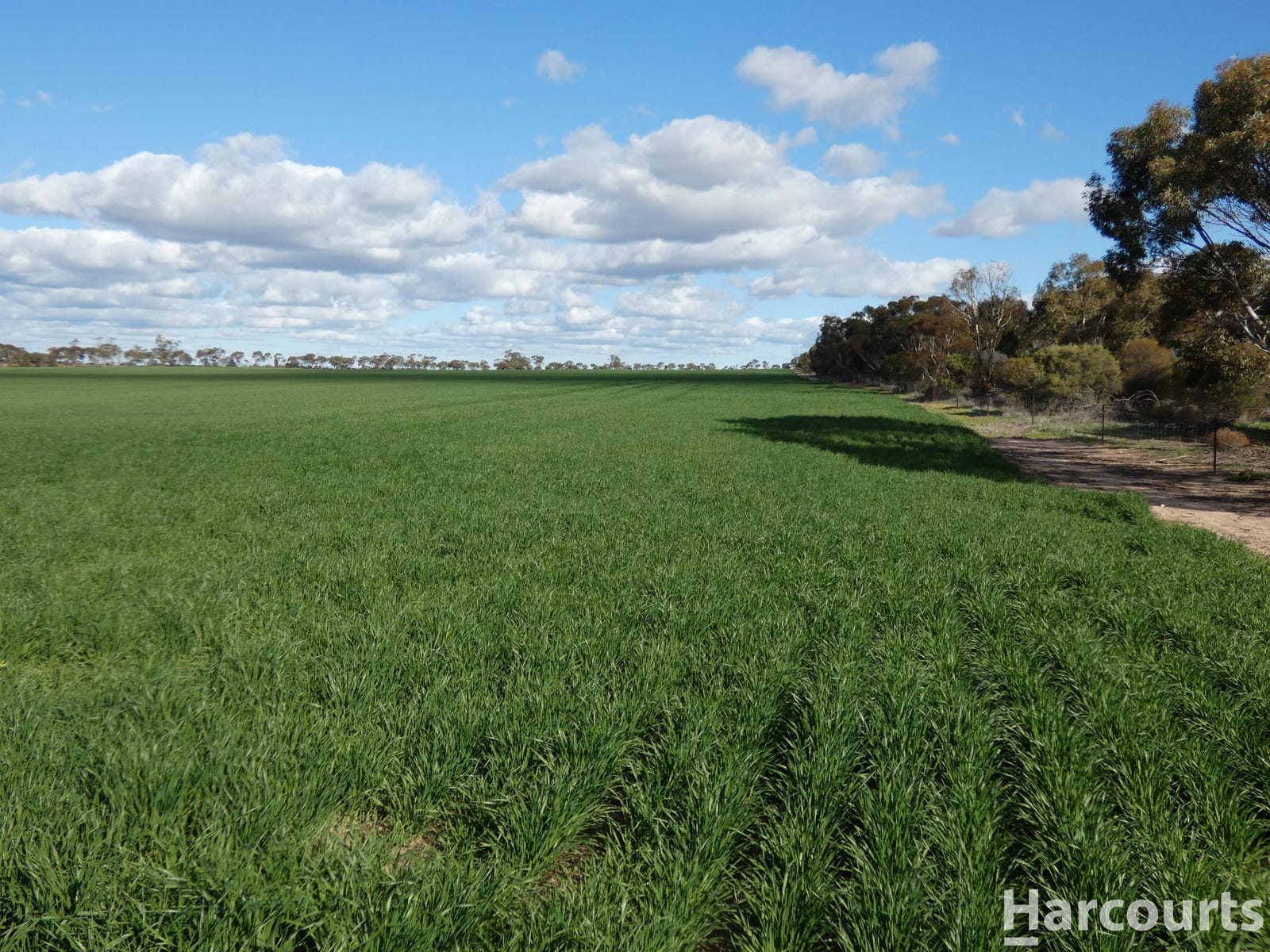 Farm For Sale in Rainbow, Vic 3424