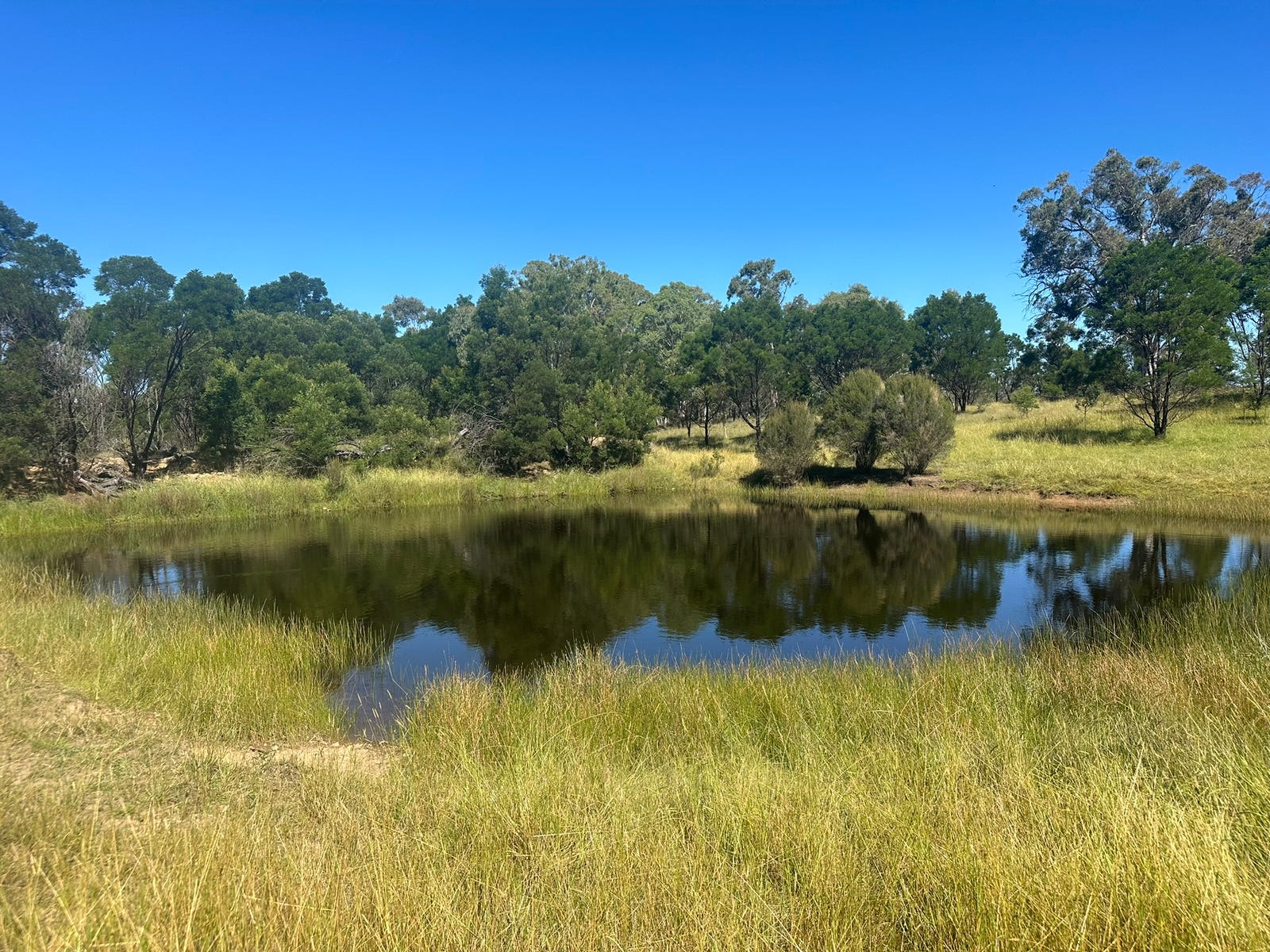 Farm For Sale in Braidwood, NSW 2622 2/371 Mayfield Road