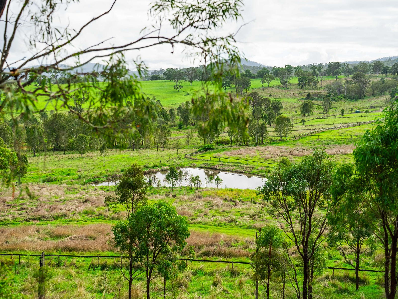 Business For Sale: Oaky Creek, Qld 4285
