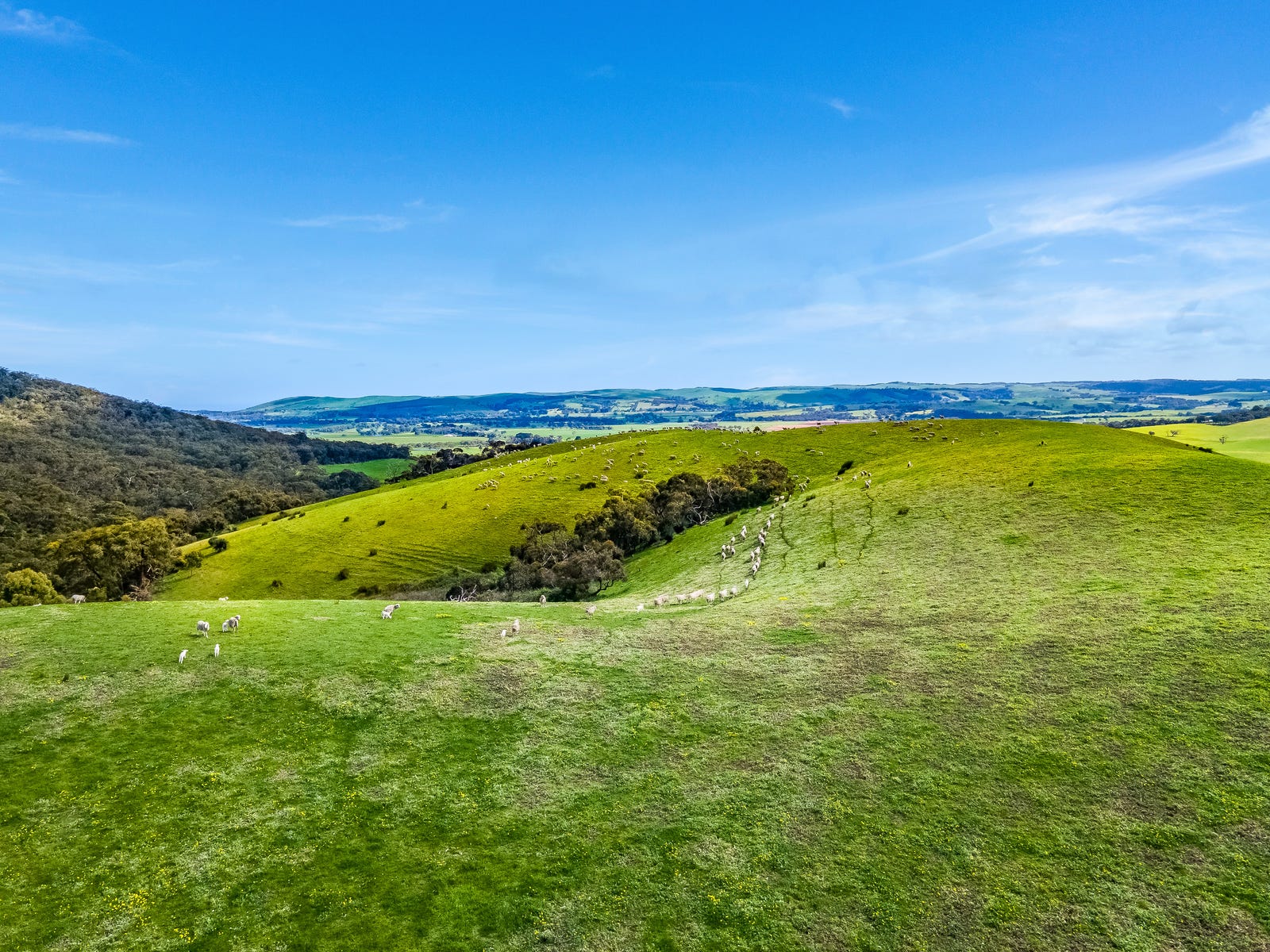 Business For Sale: Myponga, SA 5202