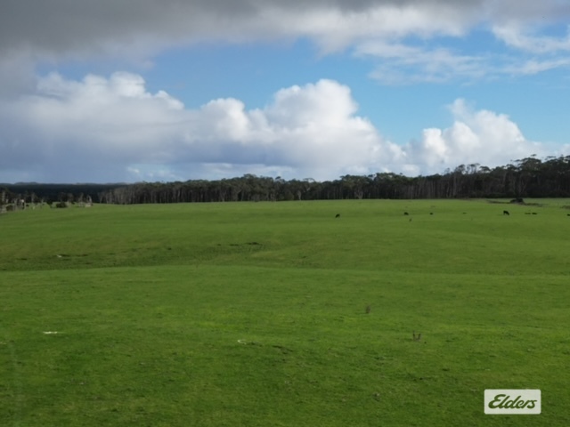 Business For Sale: Lymwood, Tas 7256