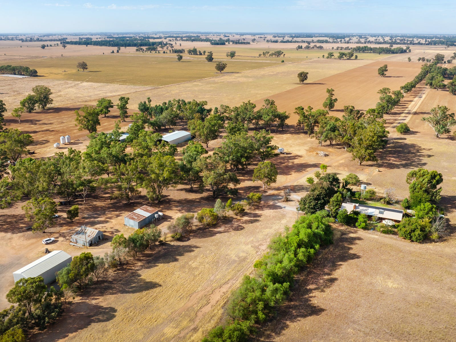 Farm For Sale in Corowa, NSW 2646 9517 Riverina Highway