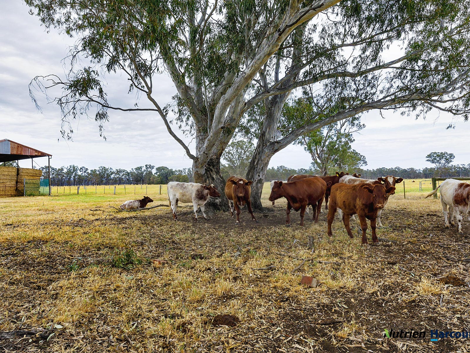 Business For Sale: Violet Town, Vic 3669