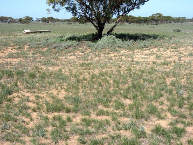 Business For Sale: Bower, SA 5374