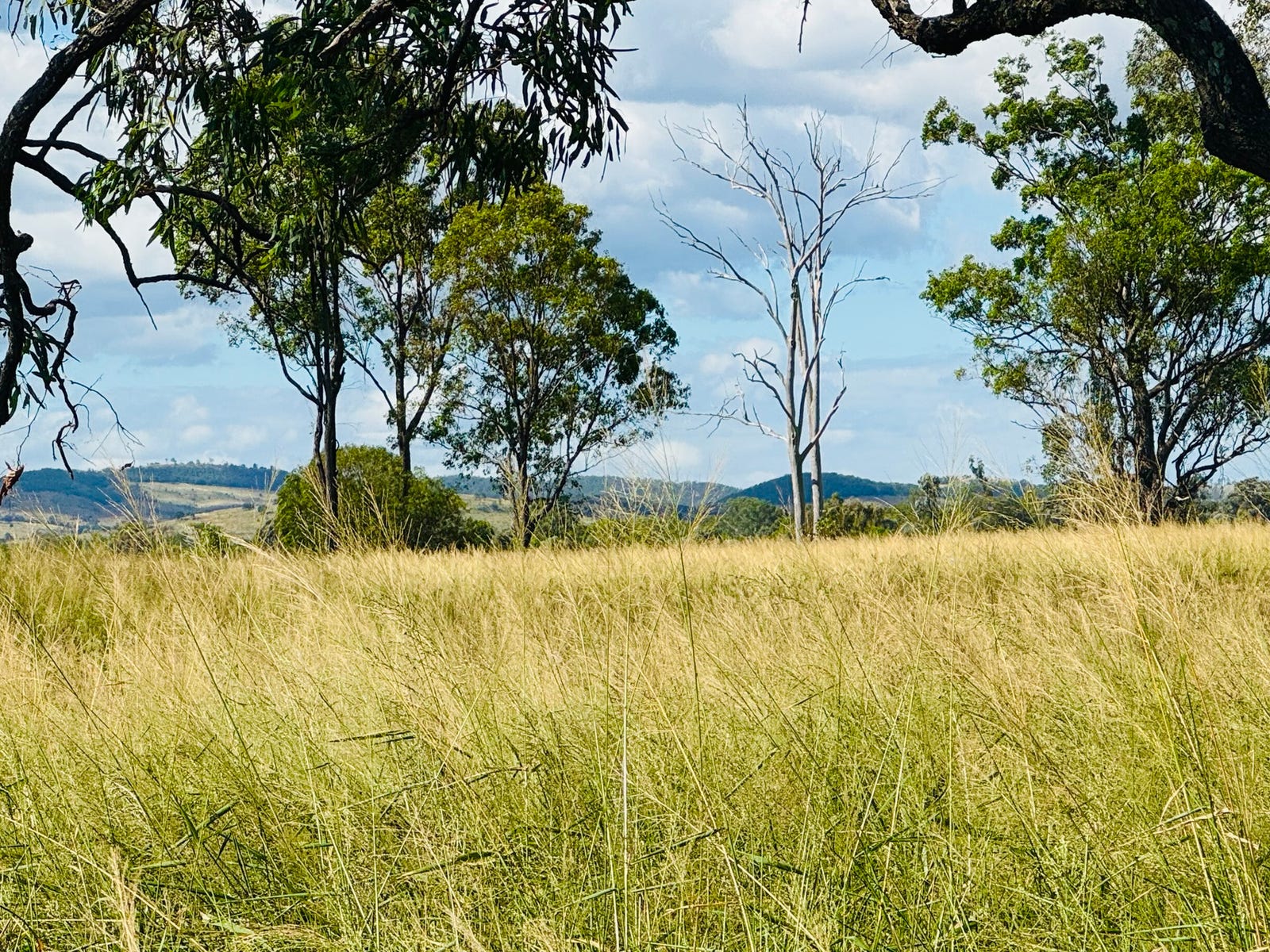 Business For Sale: Peranga, Qld 4352