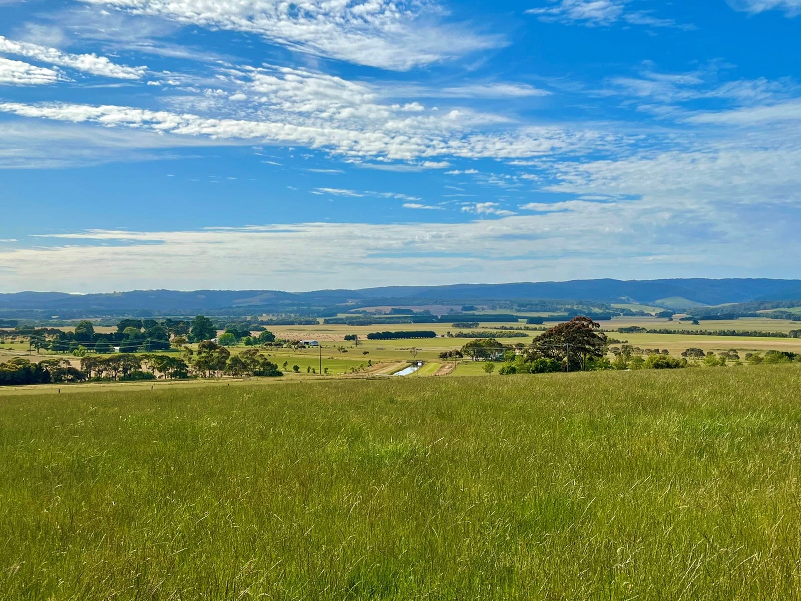 Farm For Sale in Birregurra, Vic 3242 463 Birregurraforrest Road
