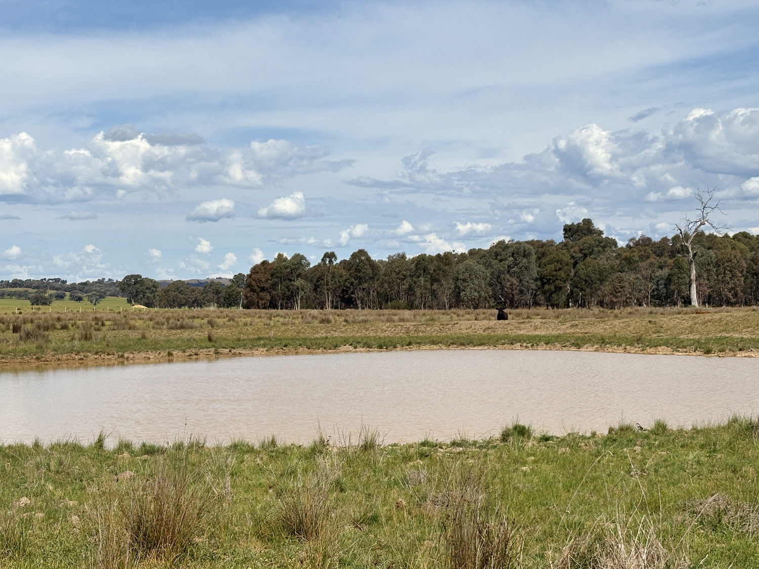 Business For Sale: Benalla, Vic 3672