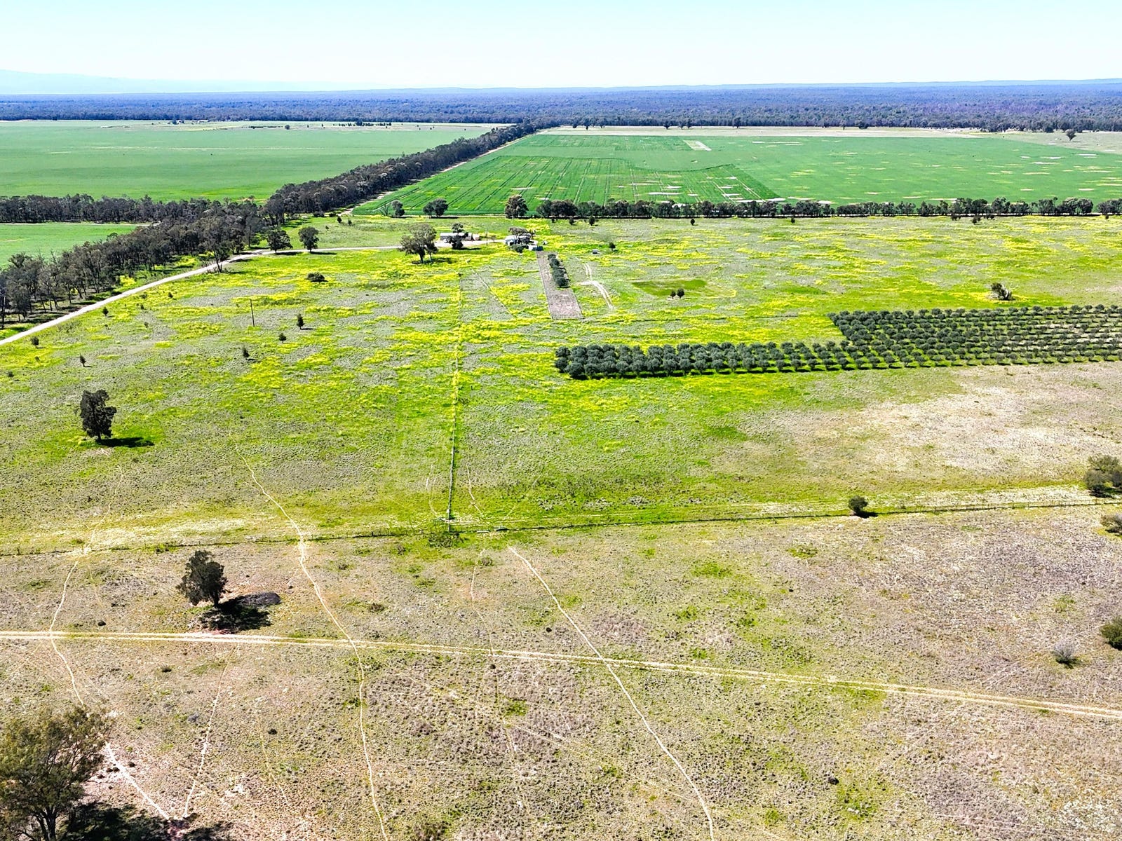 Business For Sale: Bohena Creek, NSW 2390