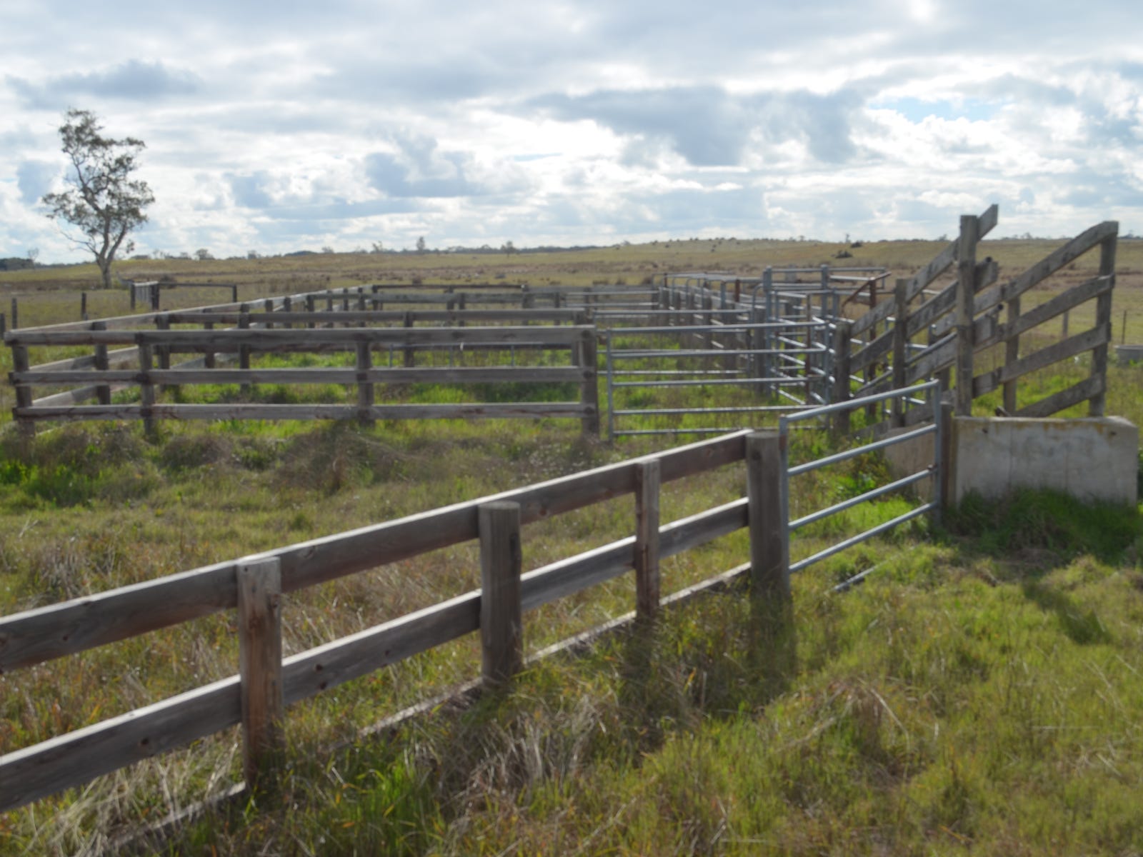 Business For Sale: Naracoorte, SA 5271