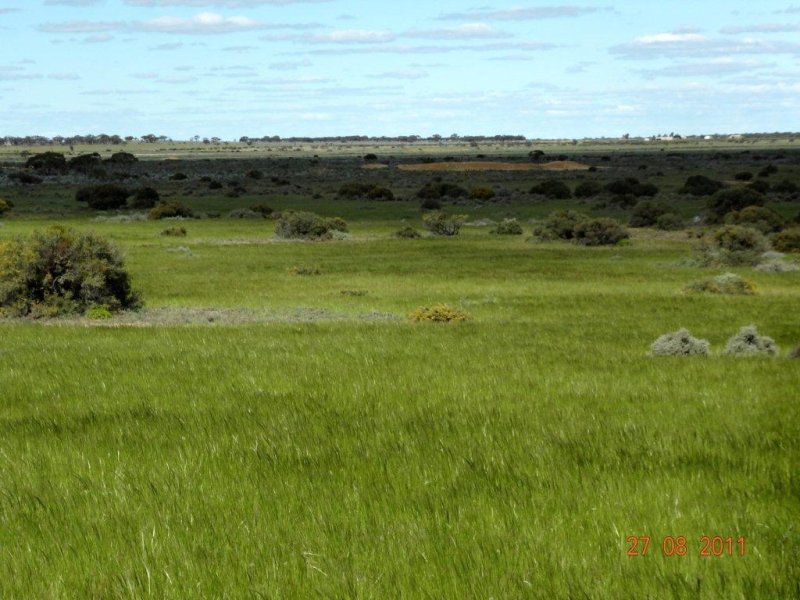 Business For Sale: Bower, SA 5374