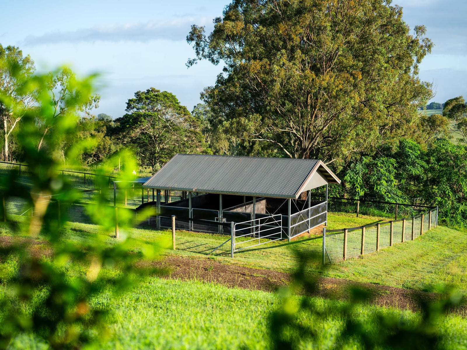 Business For Sale: Oaky Creek, Qld 4285