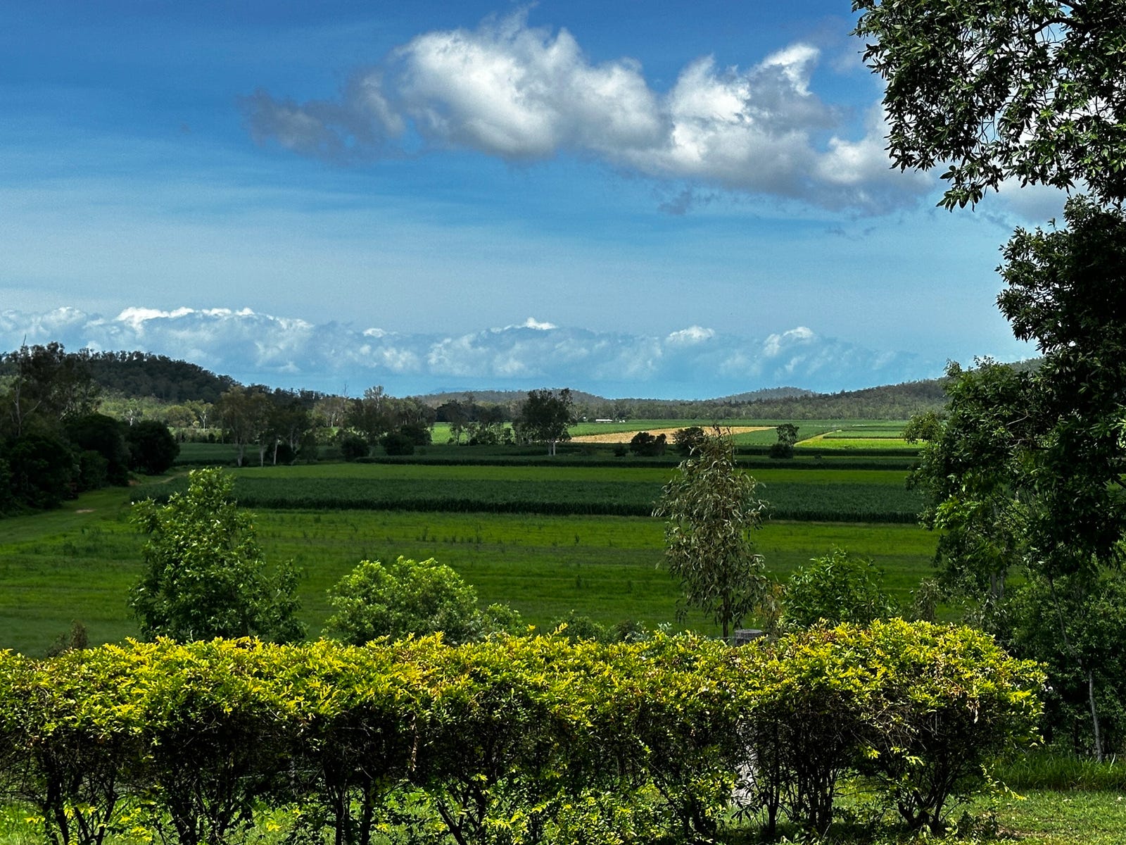 Farm For Sale in Proserpine, Qld 4800 | 1620 Gunyarra Road
