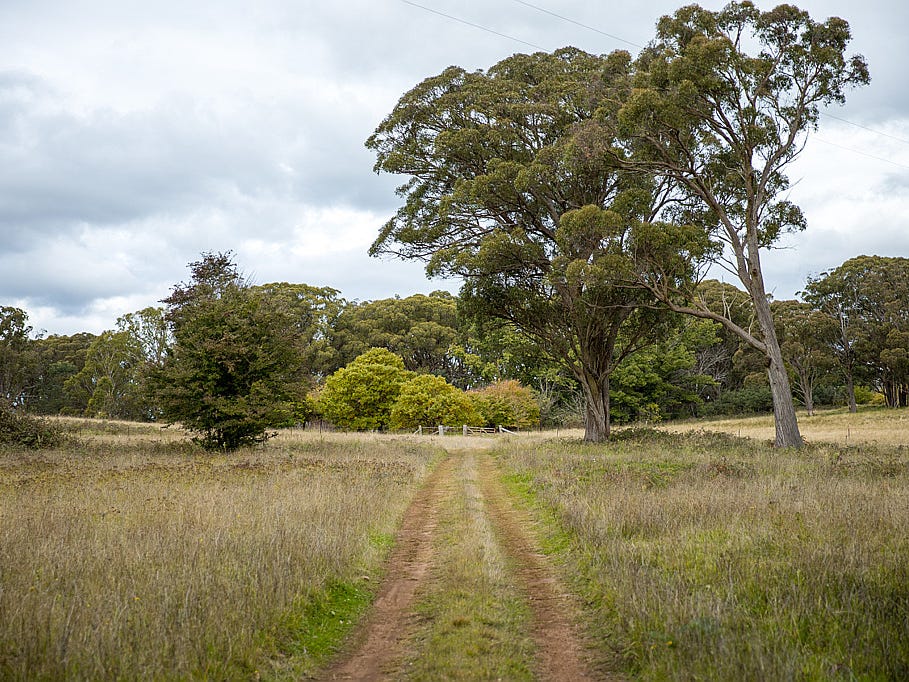 Business For Sale: Black Mountain, NSW 2365