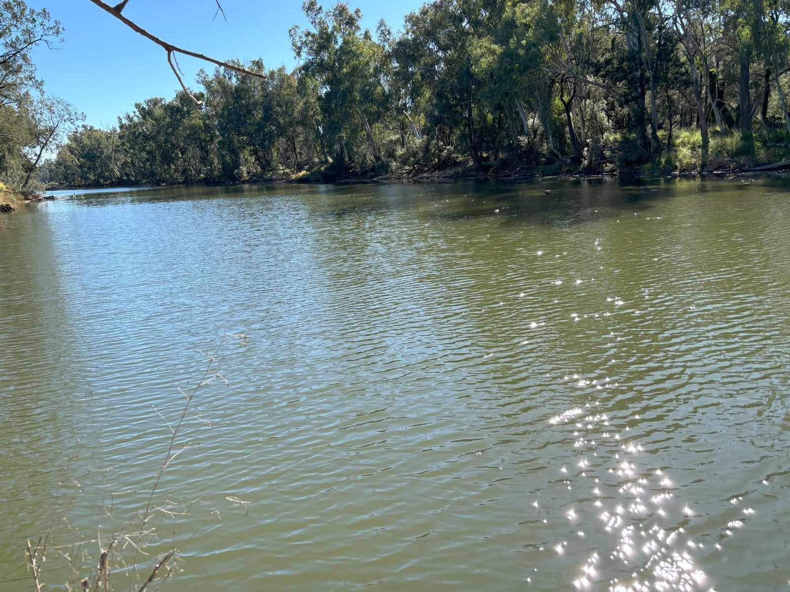 Business For Sale: Bonshaw, NSW 2361