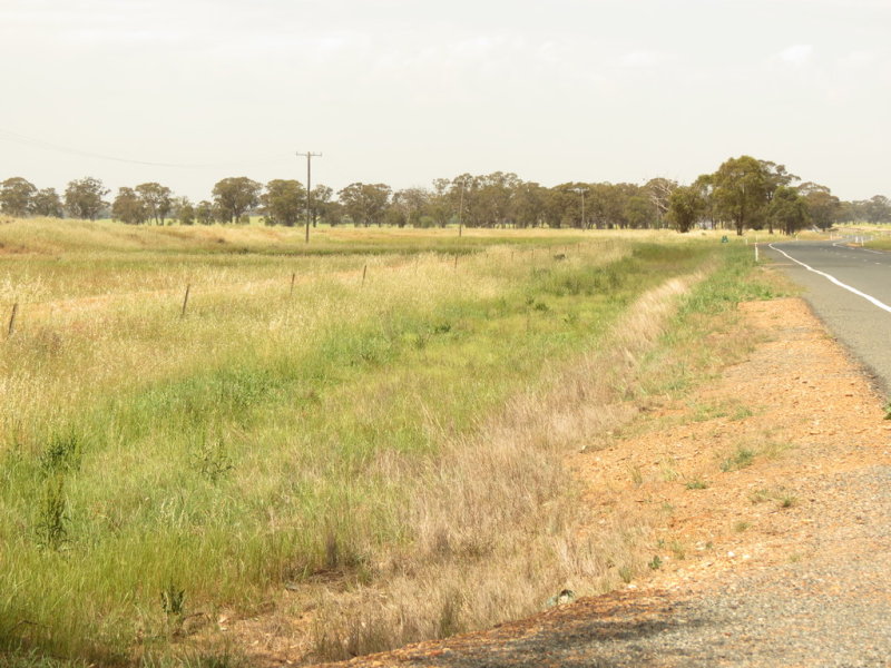 Farm For Sale in Temora, NSW 2666 "hillview" Goldfields Way