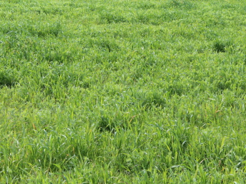 Business For Sale: Keith, SA 5267