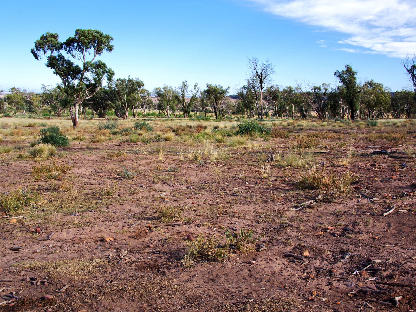 Business For Sale: Narrabri, NSW 2390