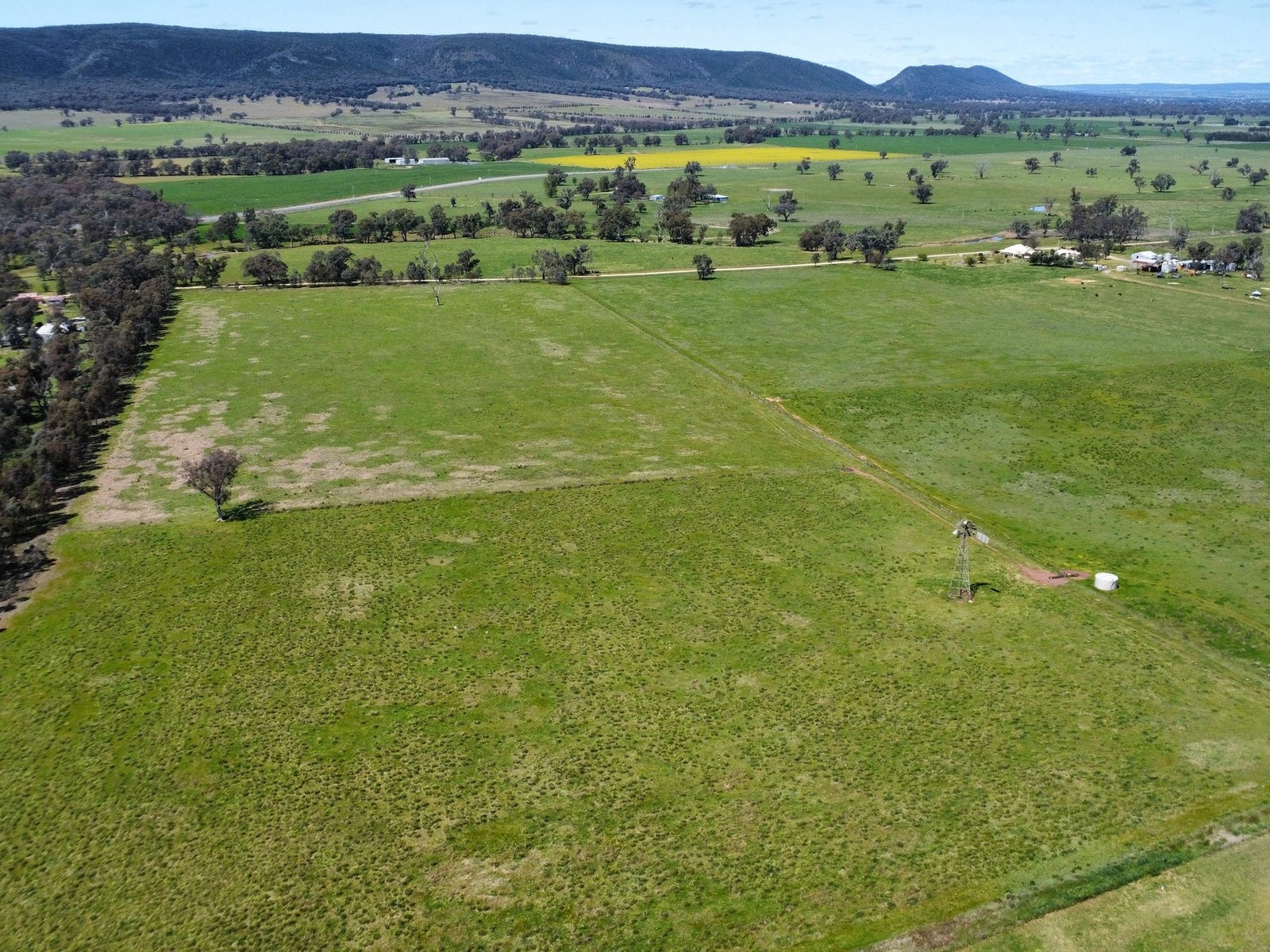 Business For Sale: Young, NSW 2594