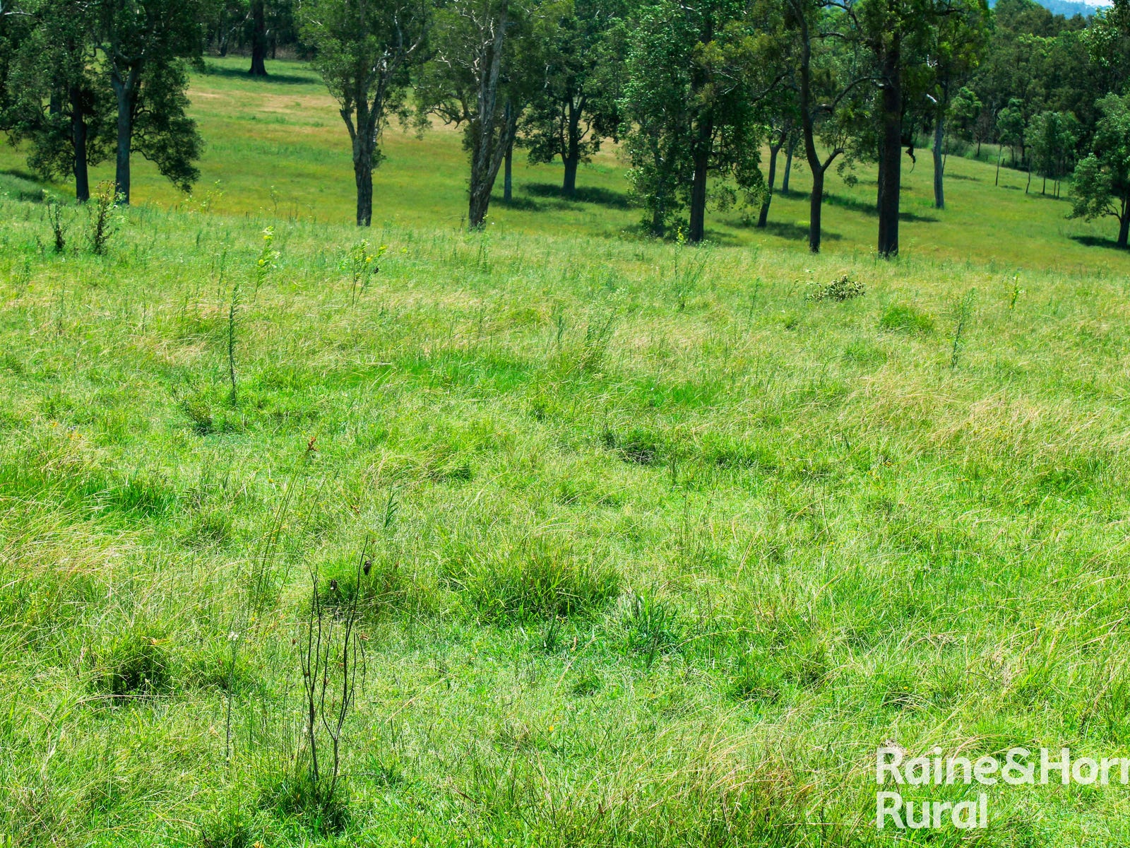Farms For Sale in Casino, NSW 2470