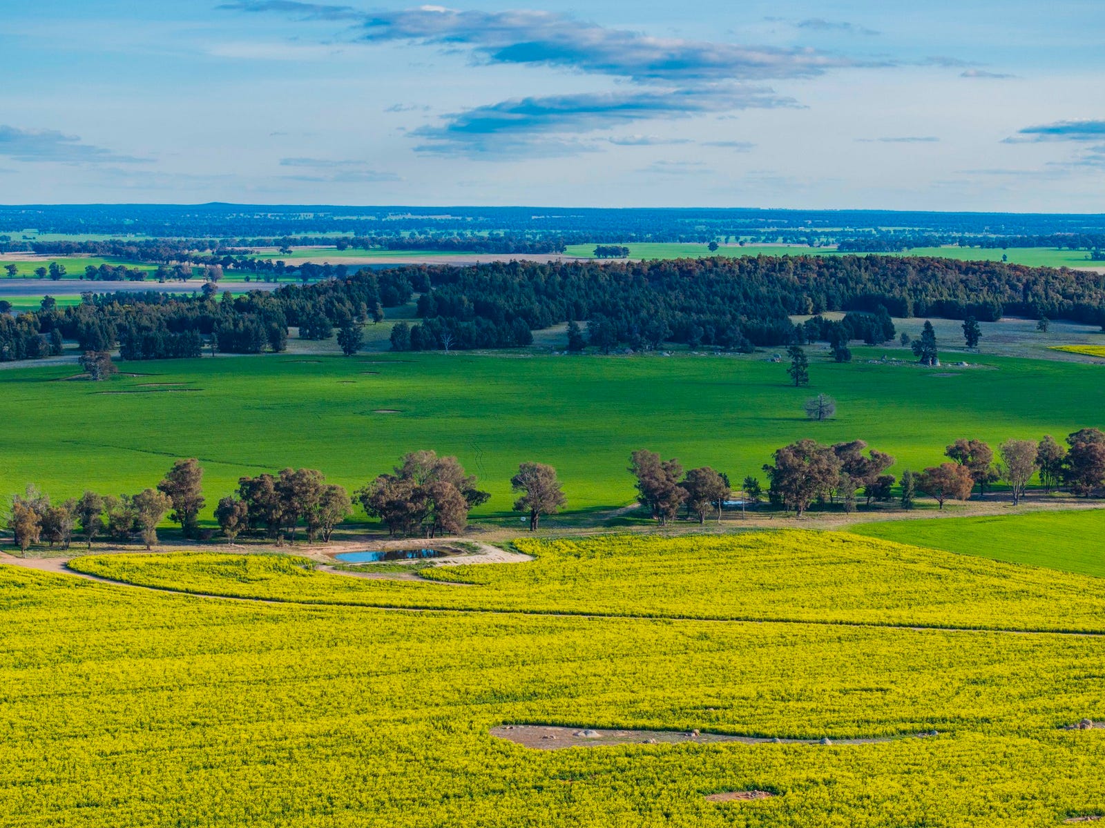 Business For Sale: Trungley Hall, NSW 2666