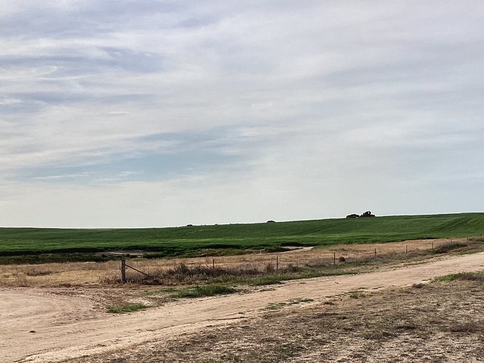 Business For Sale: Nhill, Vic 3418
