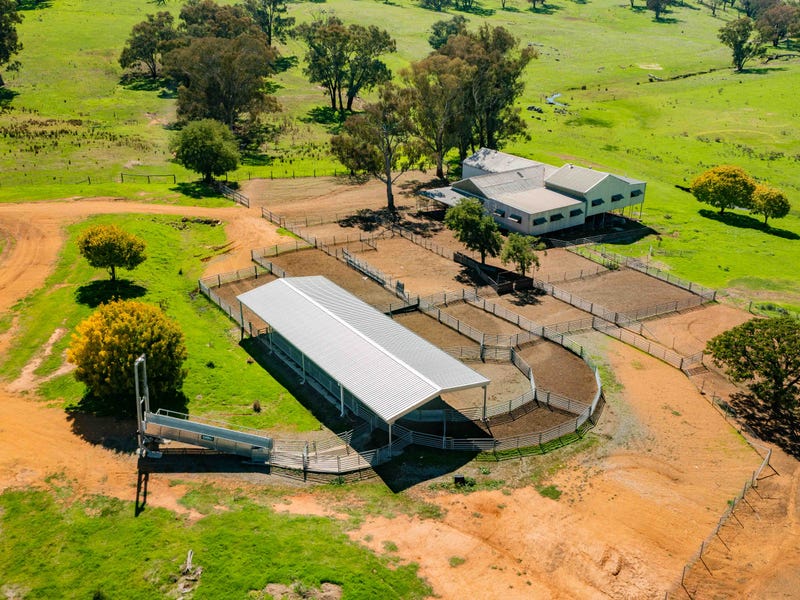 Farm For Sale in Cootamundra, NSW 2590