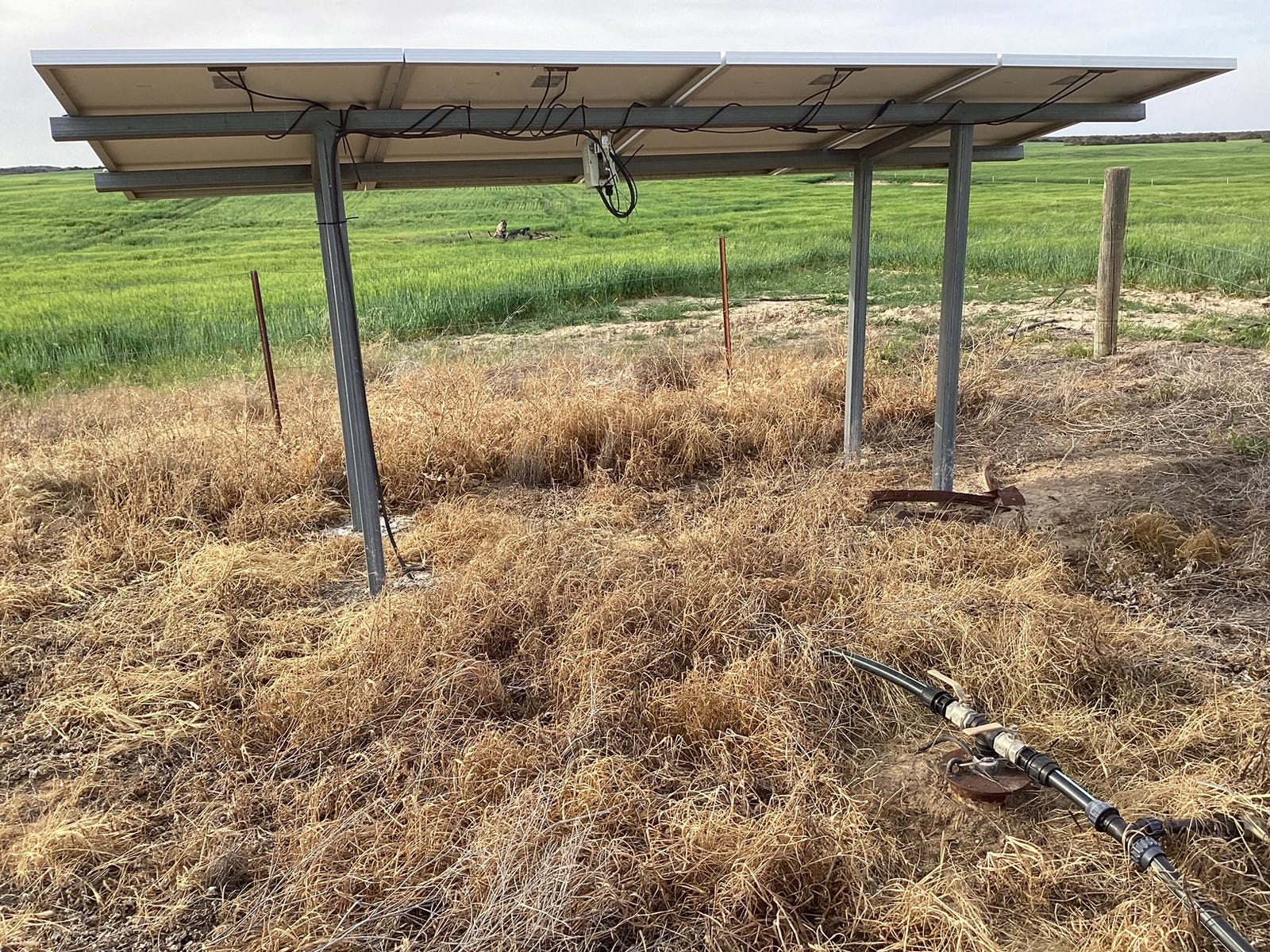 Business For Sale: Nhill, Vic 3418