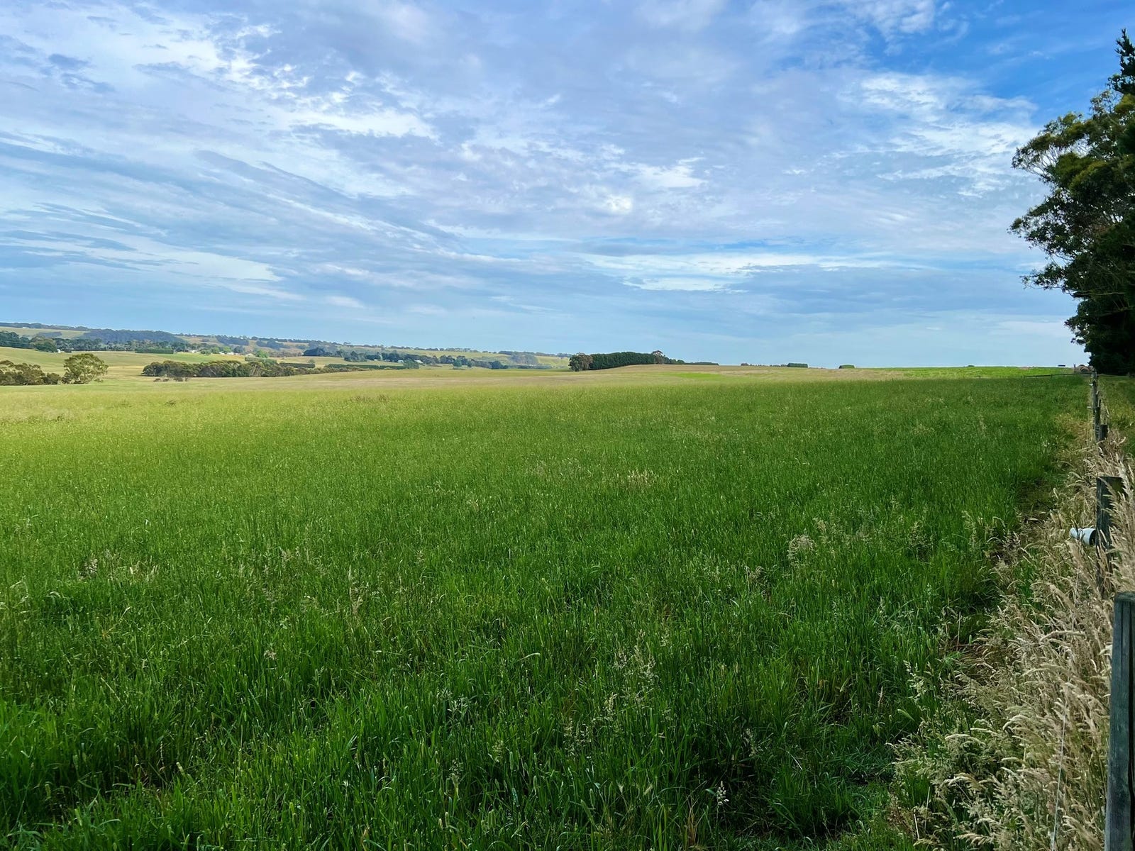 Farm For Sale in Birregurra, Vic 3242 463 Birregurraforrest Road