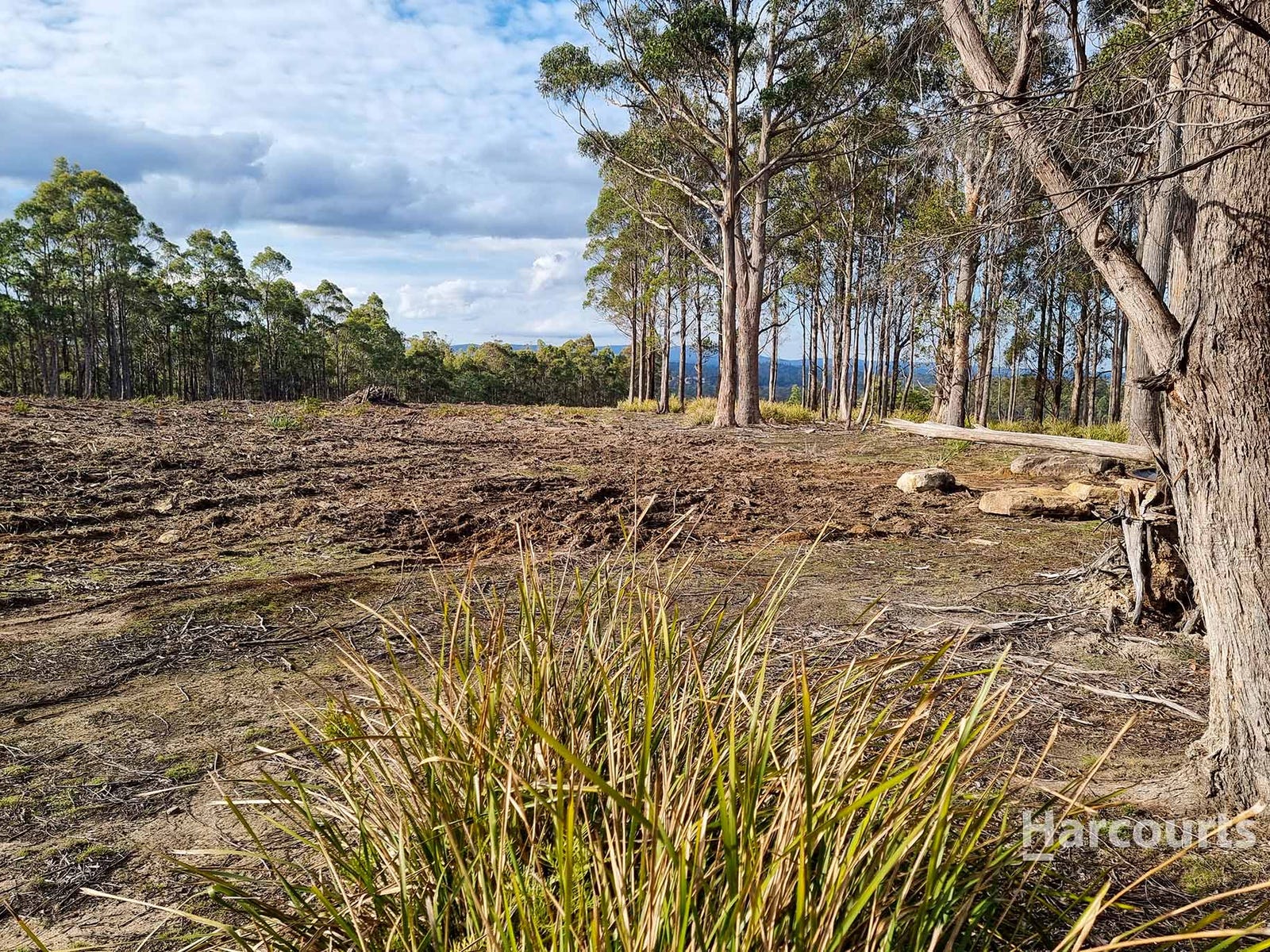 Business For Sale: Levendale, Tas 7120